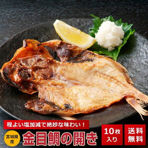 ڑJ 10 |Cg ܂  ܂    o[xL[ v[g pI h50h hV̓