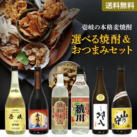 選べる 焼酎 おつまみ セット 贈り物 ギフト プレゼント 実用的 SALE セール s10 壱岐 人気 父の日 御中元 お中元 中元