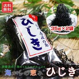 【長崎県壱岐産】 ひじき (長ひじき) 35g 2袋 買い回り 買い周り 買いまわり 【ヒジキ 国産 天然 ひじきご飯 海藻 玄界灘 長崎県 壱岐 送料無料 ポイント消化】 sw バーベキュー プレゼント 実用的 父の日 御中元 お中元 中元