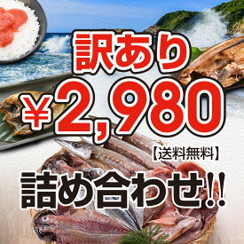 干物 訳あり セット お試し 海鮮 ひもの 詰め合わせ 福袋 2980円セット 送料無料 バーベキューセット ギフト セット 福袋 海鮮福袋 セット 内祝 コロナ セット 取り寄せ 取り寄せ 海鮮 減塩 高級 プレゼント SALE セール 父の日 御中元 お中元 中元