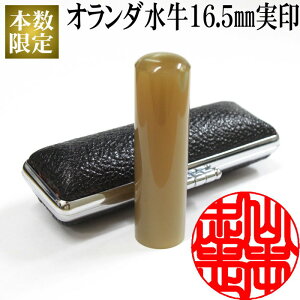  蒤dグ y݌Ɍzc pI_16.5~ P[Xt tl[ I_ p ͂  s ドN ۉɎ