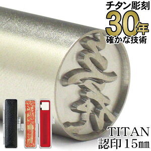  `^y30N̎сz`^ F15.0mm ӃP[XtijTITAN ͂