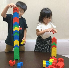 トーテム48 LE3048 レシオ社 知育玩具 木のおもちゃ 積木 積み木 つみき ブロック 【送料無料】