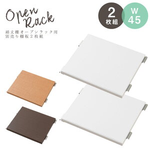 頑丈棚 オープンラック 幅45cm用 別売り棚板2枚組 オープンラック スチールラック スチール棚 シェルフ 収納家具 棚板 楽天
