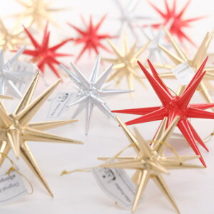 ̐ ̐ Ԃ  yF4z yF6 zArvCX[ ALBIN PREISSLER NX}XI[ig ؐ NX}X c[ I[ig hCc Gcn(ERZ) 