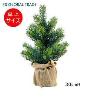 NX}Xc[  30cm V@c@gc[ yKAiz RSO[og[h AgGjLeBL mh}~f ɂ  {ic[ k xmas RS GL