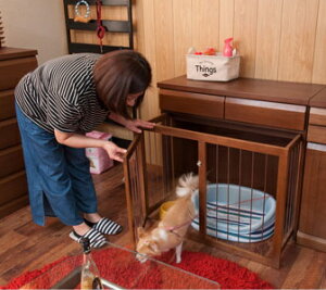 ygN[|zzz XCh^P[W ȃXy[X[tXCh^P[W@90@uE  VR ^ ^ ybgpi pi  P[W Q[g T