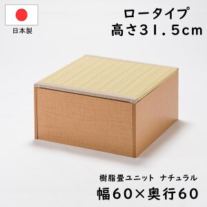 PP􃆃jbg [^Cv 60 i`/uE 60cm×s60cm×31.5cm オ  [ jbg  jbg x` xbh BOX {bNX Xc[ xR^c @育 