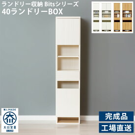 ランドリー収納 隙間収納 収納ボックス ラック シンプル スリム 薄型 ミニ コンパクト 幅40cm 奥行き39cm 高さ177cm 国産 完成品 壁面 スマート 洗面所 日本製 洗濯物入れ シャープ 縦型 かご