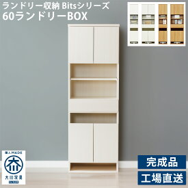 ランドリー収納 隙間収納 収納ボックス ラック シンプル スリム 薄型 ミニ コンパクト 幅60cm 奥行き39cm 高さ177cm 国産 完成品 壁面 スマート 洗面所 日本製 洗濯物入れ シャープ 縦型 かご