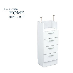 ^ `FXg Lb`JE^[[ Lrlbg o 4i Y i gsv 30cm X ~j  s27cm 85cm AWX^[t ]|h~ X}[g JWA
