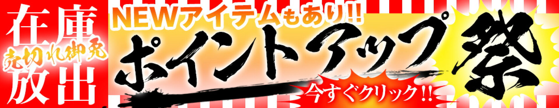 【ポイントUP祭!!】