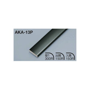 ���^�J���[���� ���؍ރt���b�g�^�C�v AKA-13P L3000 �j�b�P���w�A���C��(NH)