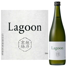 越乃寒梅 Lagoon（ラグーン） 原酒 720ml