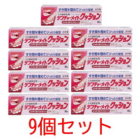 デンチャーメイト クッション 36g【9個セット】【共和】