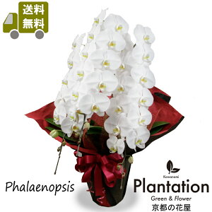 IӒij3{@39ց`42ց@26,400~ĎDbZ[J[hI10P03Dec16