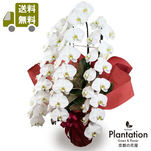 IӒij3{35000~ĎDbZ[J[hI10P03Dec16