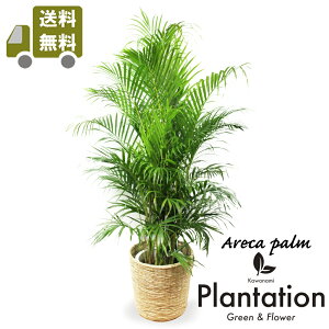 ϗtAAJV10yzygsJ_zyĎDbZ[WJ[hz