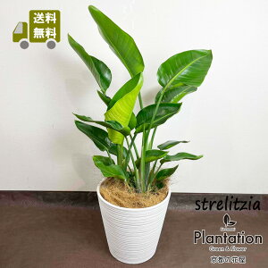 ϗtAXg`A I[KX^8yzCgXgCvJo[tzyzyĎDbZ[WJ[hzʖFyӂ̖؁zƂłI10P03Dec16