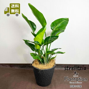 ϗtAXg`A I[KX^8yubNXg[Jo[tzyzyĎDbZ[WJ[hzʖFyӂ̖؁zƂłI10P03Dec16