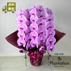 IӒisNj3{@39ց`42 bsO̐FIׂ܂I