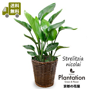 ʖFyӂ̖؁zϗtAXg`A I[KX^8yJo[tzyzyĎDbZ[WJ[hz