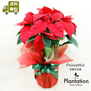 |CZ`AAyzNX}Xv[g~̃Mtgɂ߁IybsOz