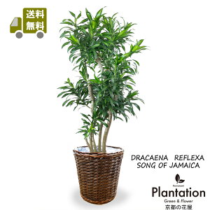 ϗtA\OIuW}CJ8yzyĎDbZ[WJ[hz