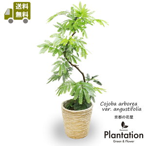 Go[tbV8yzyĎDbZ[WJ[hz10P03Dec16