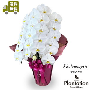 IӒij3{@33ց`36ց@22,000~ĎDbZ[J[hI10P03Dec16