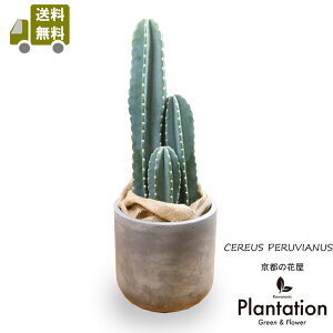 ϗtAIinVjT{e8y픫Jo[tzyzybsOz