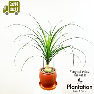 ϗtA@mi@|j[e[igbNj6yzyĎDbZ[WJ[hz