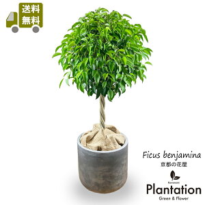 ϗtA xW~EX^_[h8픫Jo[tyIzyJo[ZbgizyĎDbZ[WJ[hz