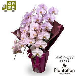 IӒsNEp[vOf[V3{@33ց`36ց@24,000~ĎDbZ[J[hI10P03Dec16