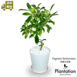 iI@t@OGA@xeAi@oGK[^@TXei|bgyzyĎDbZ[WJ[hzyjzyVzjzyajz10P05Nov16