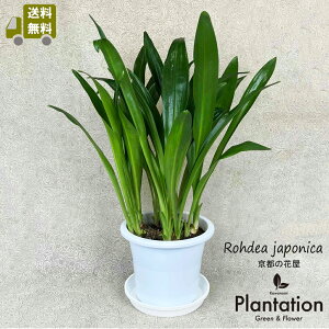 NiIgj6yzyĎDbZ[WJ[hz