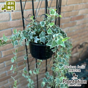 wf@6݂艺inMOj^CvǂȋԂɂDYA΂̃J[eyzyĎDbZ[WJ[hz