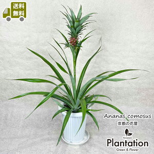 pCibv8yIzyĎDbZ[WJ[hz10P03Dec16