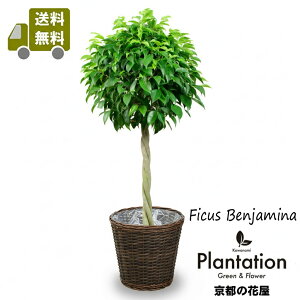 ϗtA xW~EX^_[h8yIzyJo[ZbgizyĎDbZ[WJ[hz10P03Dec16