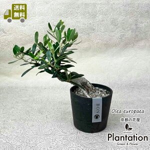 iII[u@SOUJU@~́@No.2yIzyĎDbZ[WJ[hz