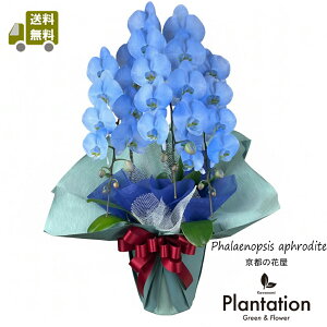 IӒ@u[Of[VE3{@33ց`36ց@24,000~ĎDbZ[J[hI10P03Dec16