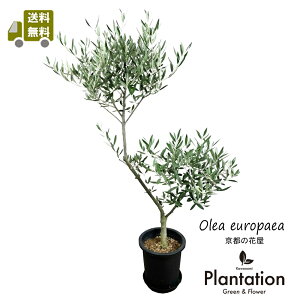 i@I[u7@sNA@No.1yIzyĎDbZ[WJ[hz