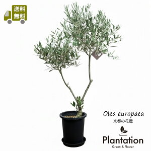 i@I[u7@sNA@No.3yIzyĎDbZ[WJ[hz