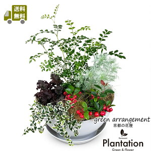 ~̖KAԂƗ΂̃Rrl[V̊񂹔@yzyĎDbZ[WJ[hziII10P03Dec16