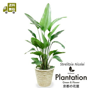 yzϗtA Xg`A I[KX^10yĎDbZ[WJ[hzʖFyӂ̖؁z