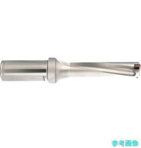 (GUHRING) 28502 29.500 �C���T�[�g�������h���� 4xD �z���_29.500
