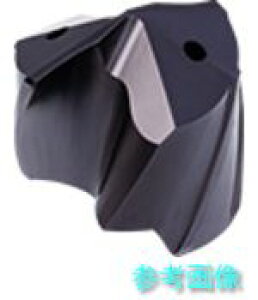 (GUHRING) 8162 20.100 BT 800 �p�C���b�g�����H�p�h�����w�b�h �z���_�T�C�Y200�p