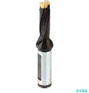 (�C�X�J��) DCM190-095-25A-5D �J���h���� �w�b�h�������h�����z���_ DCM-5D �y1�{�z