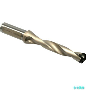 (�C�X�J��) DSM 180-027-25B-1.5D �J���h�����W�F�b�g �y1�z