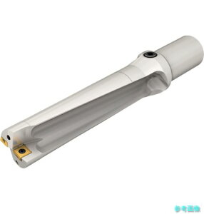 (�C�X�J��) DR250-100-32-09-4D-T DR�c�C�X�g ���՗p�`�b�v�������h�����z���_ DR-4D-T �y1�{�z